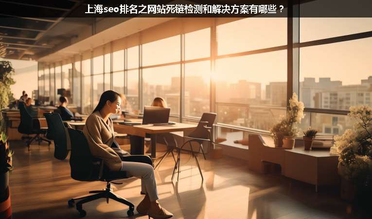 上海seo排名之網(wǎng)站死鏈檢測和解決方案有哪些?