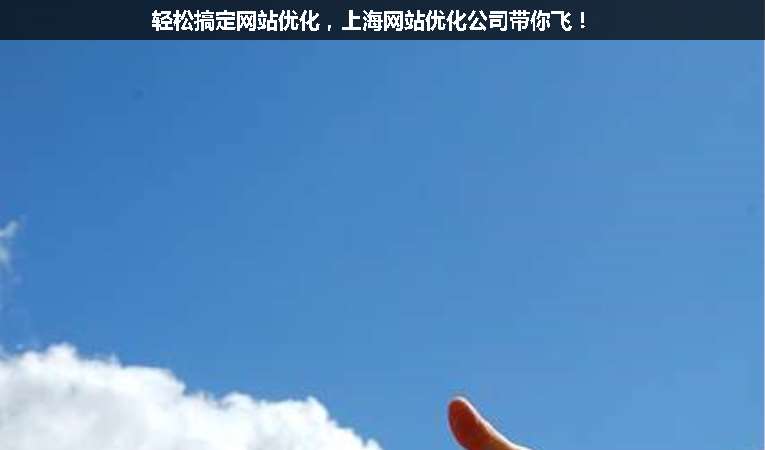 輕松搞定網(wǎng)站優(yōu)化，上海網(wǎng)站優(yōu)化公司帶你飛！