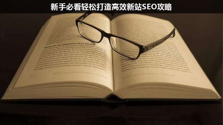 新手必看輕松打造高效新站SEO攻略
