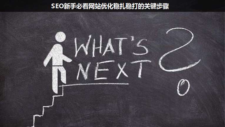 SEO新手必看網(wǎng)站優(yōu)化穩(wěn)扎穩(wěn)打的關(guān)鍵步驟