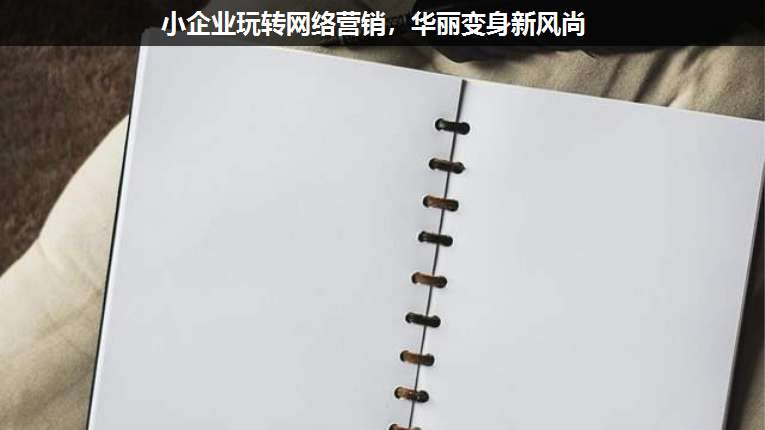 小企業(yè)玩轉(zhuǎn)網(wǎng)絡(luò)營銷,華麗變身新風(fēng)尚