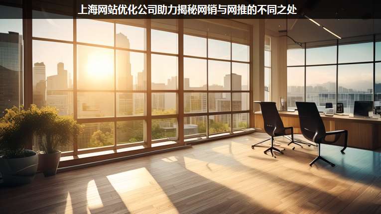 上海網站優(yōu)化公司助力揭秘網銷與網推的不同之處
