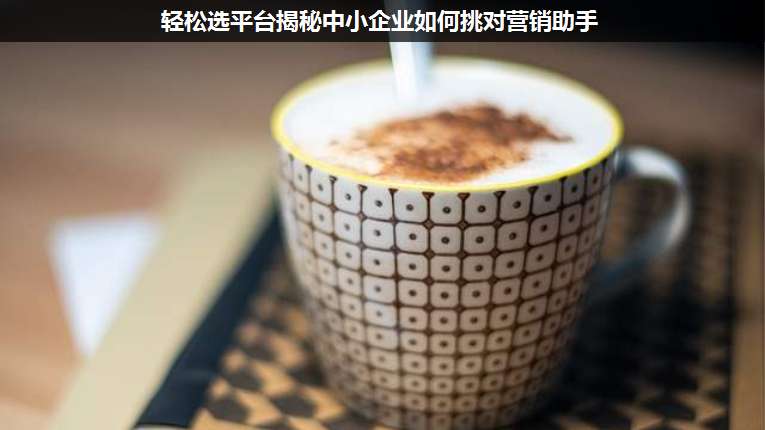 輕松選平臺揭秘中小企業(yè)如何挑對營銷助手