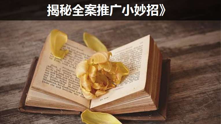 揭秘全案推廣小妙招》