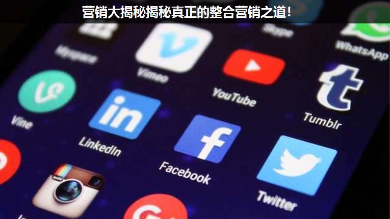 營銷大揭秘揭秘真正的整合營銷之道!