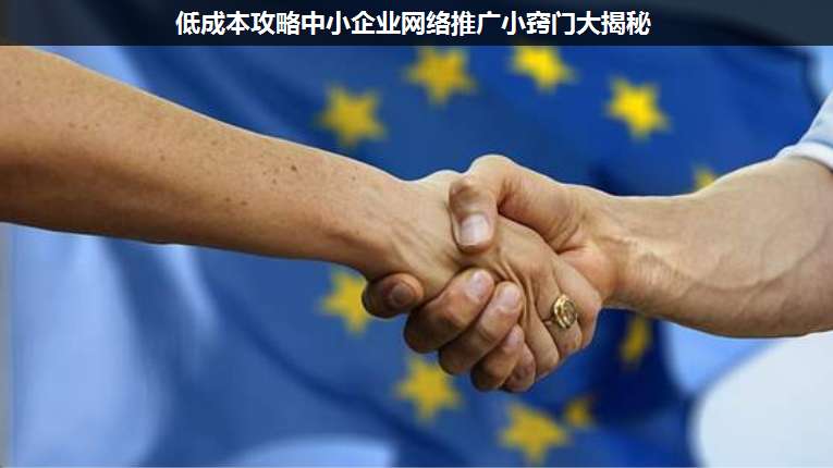 低成本攻略中小企業(yè)網(wǎng)絡推廣小竅門大揭秘