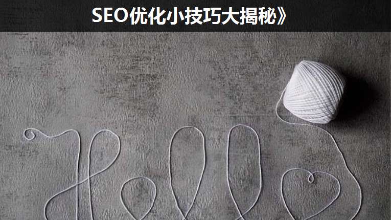 SEO優(yōu)化小技巧大揭秘》