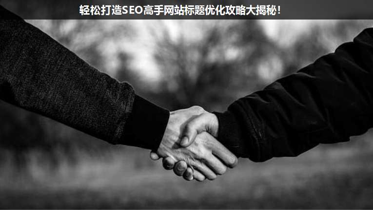 輕松打造SEO高手網(wǎng)站標(biāo)題優(yōu)化攻略大揭秘!
