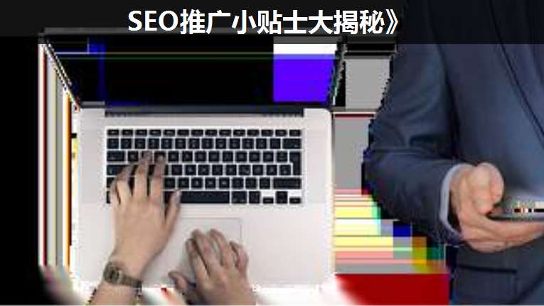 SEO推廣小貼士大揭秘》