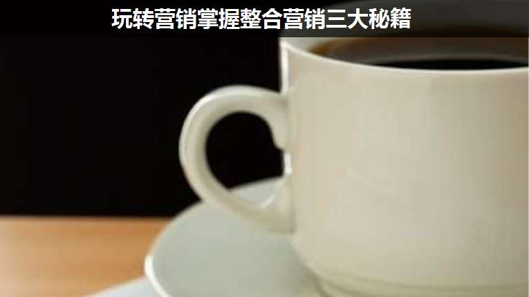 玩轉(zhuǎn)營銷掌握整合營銷三大秘籍