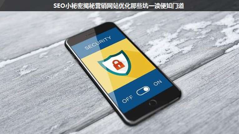 SEO小秘密揭秘營銷網(wǎng)站優(yōu)化那些坑一讀便知門道