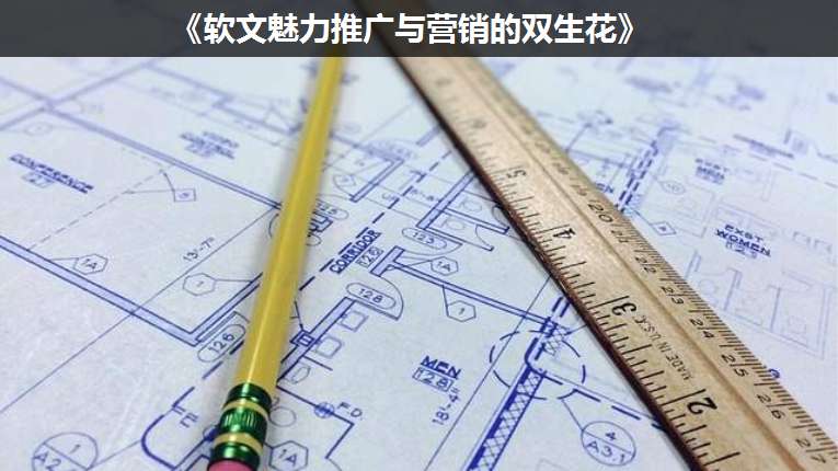 《軟文魅力推廣與營銷的雙生花》