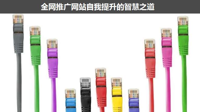 全網(wǎng)推廣網(wǎng)站自我提升的智慧之道