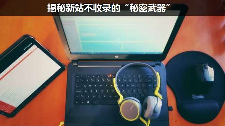 揭秘新站不收錄的“秘密武器”