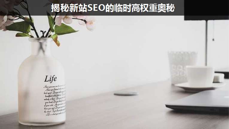 揭秘新站SEO的臨時(shí)高權(quán)重奧秘