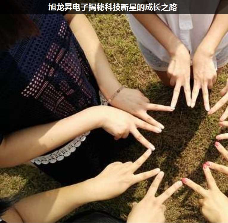 旭龍昇電子揭秘科技新星的成長之路