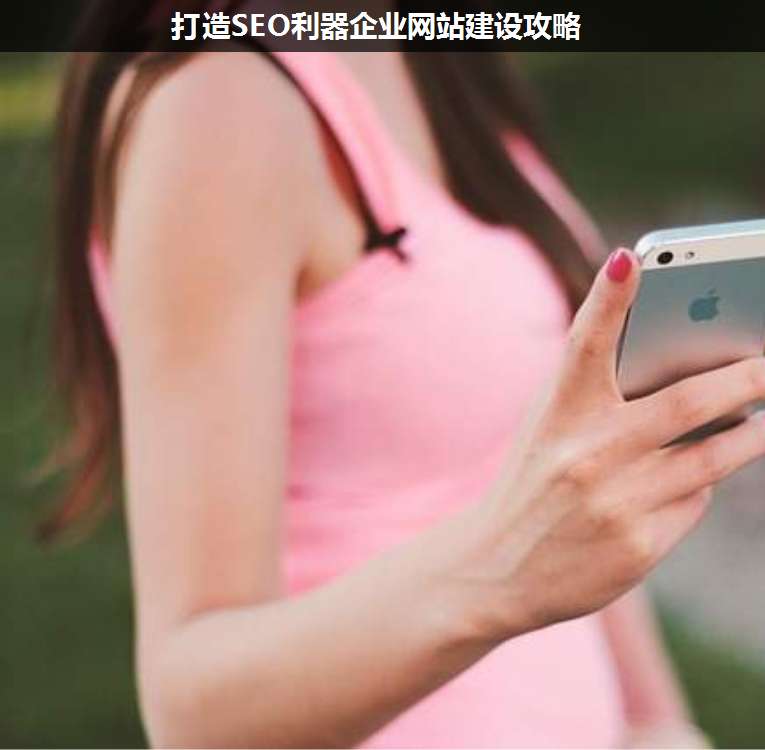 打造SEO利器企業(yè)網(wǎng)站建設(shè)攻略