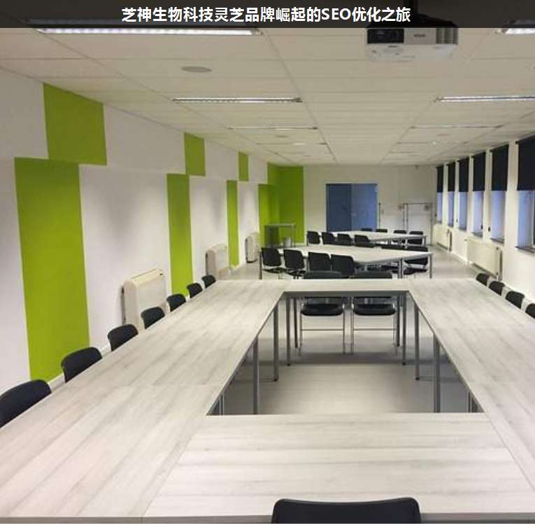 芝神生物科技靈芝品牌崛起的SEO優(yōu)化之旅