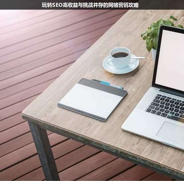 玩轉(zhuǎn)SEO高收益與挑戰(zhàn)并存的網(wǎng)絡(luò)營銷攻略