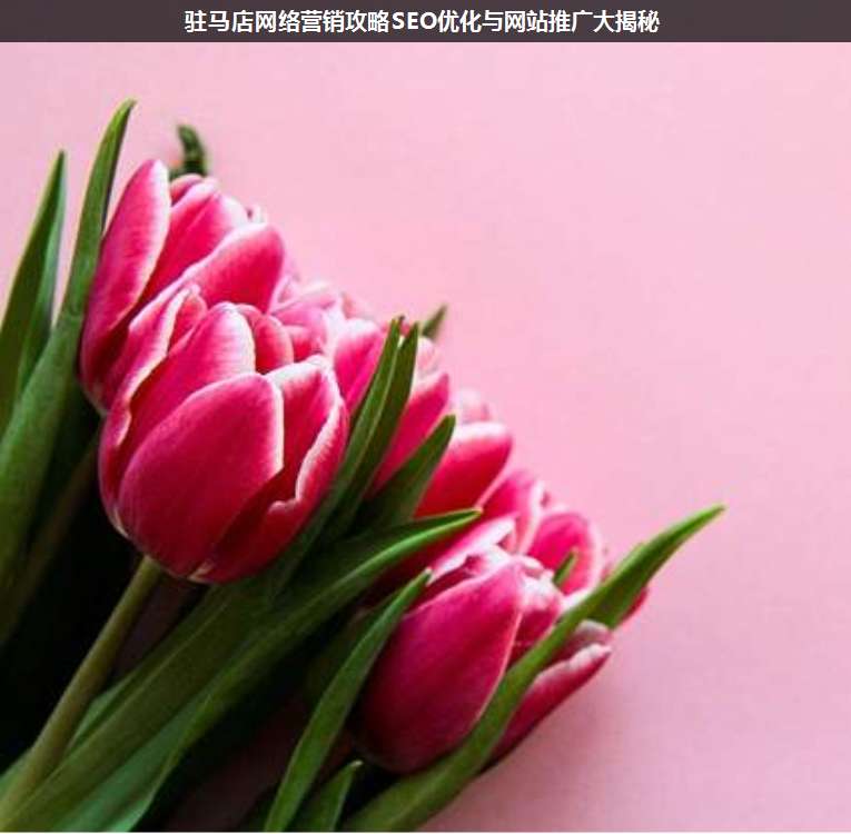 駐馬店網(wǎng)絡(luò)營銷攻略SEO優(yōu)化與網(wǎng)站推廣大揭秘