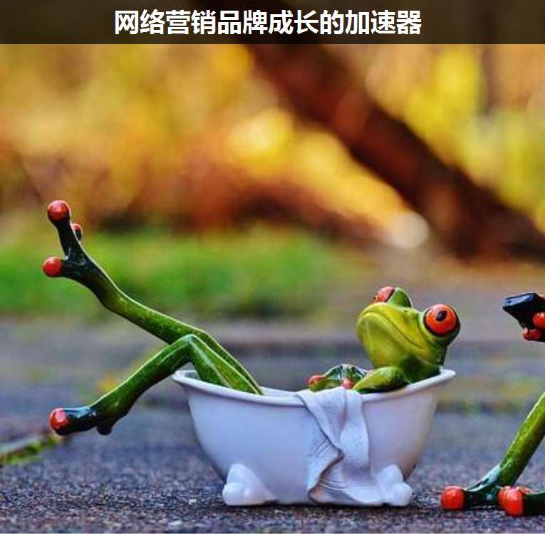網絡營銷品牌成長的加速器