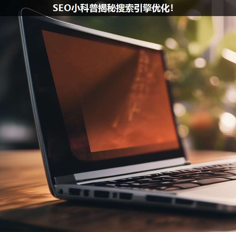SEO小科普揭秘搜索引擎優(yōu)化!