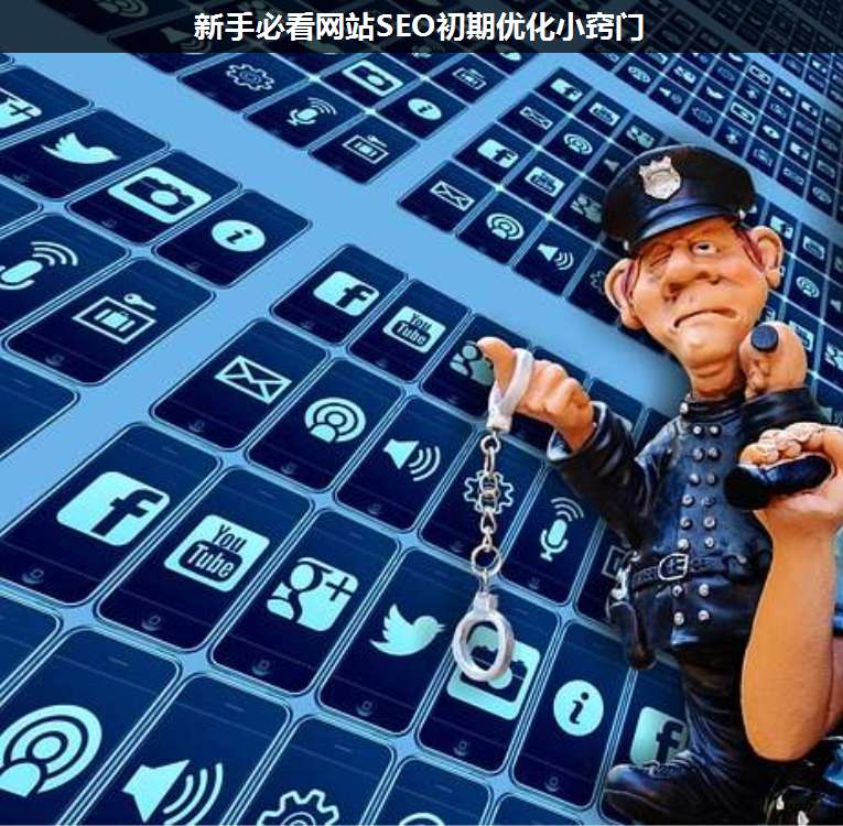 新手必看網站SEO初期優(yōu)化小竅門