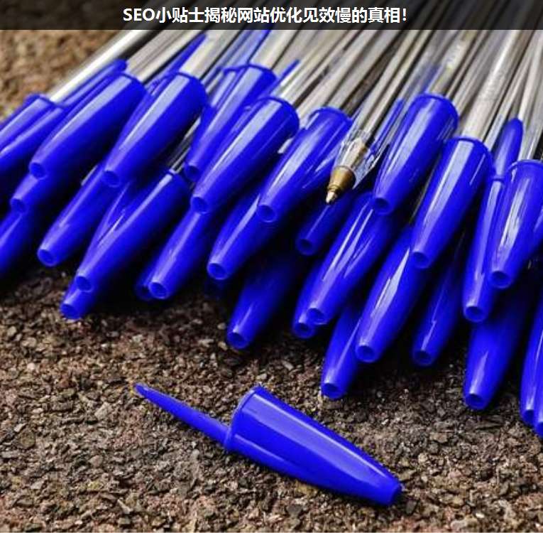 SEO小貼士揭秘網(wǎng)站優(yōu)化見(jiàn)效慢的真相!