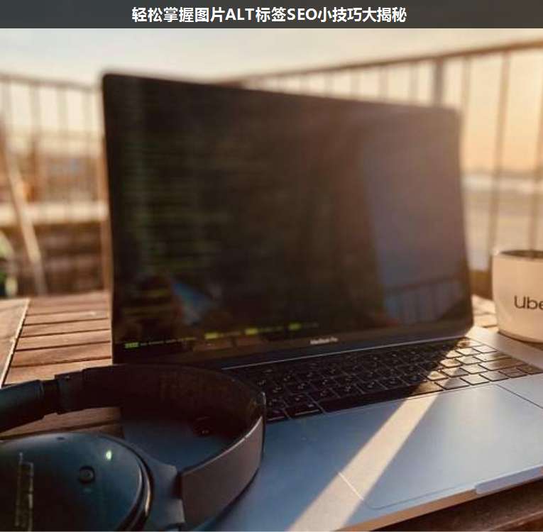 輕松掌握?qǐng)D片ALT標(biāo)簽SEO小技巧大揭秘