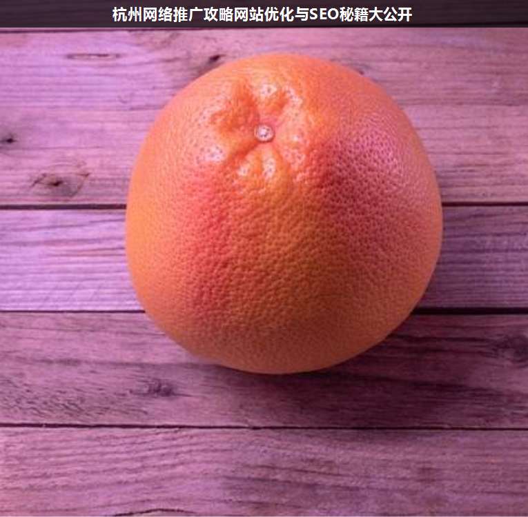 杭州網(wǎng)絡(luò)推廣攻略網(wǎng)站優(yōu)化與SEO秘籍大公開(kāi)