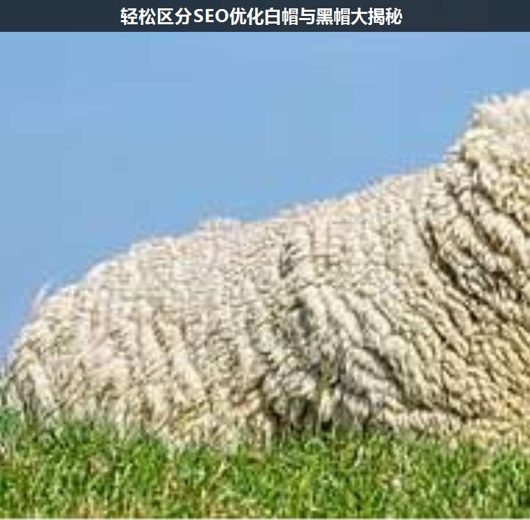 輕松區(qū)分SEO優(yōu)化白帽與黑帽大揭秘
