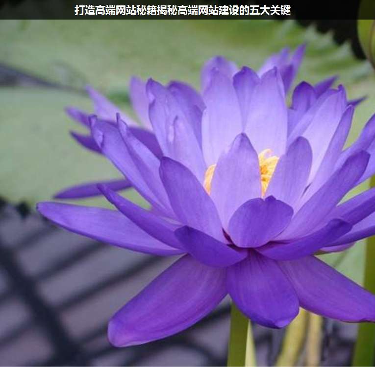 打造高端網(wǎng)站秘籍揭秘高端網(wǎng)站建設(shè)的五大關(guān)鍵