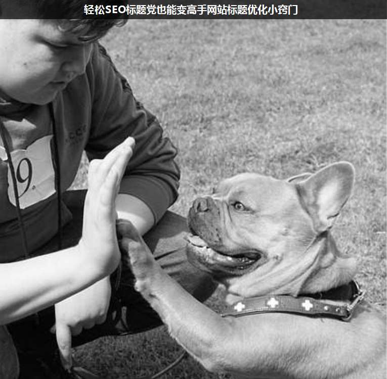 輕松SEO標(biāo)題黨也能變高手網(wǎng)站標(biāo)題優(yōu)化小竅門