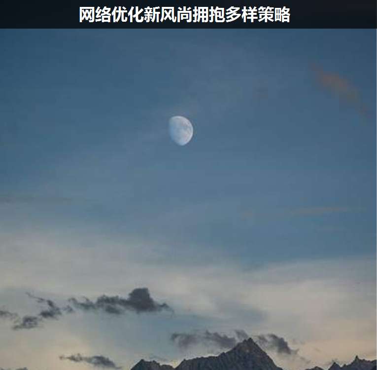 網絡優(yōu)化新風尚擁抱多樣策略