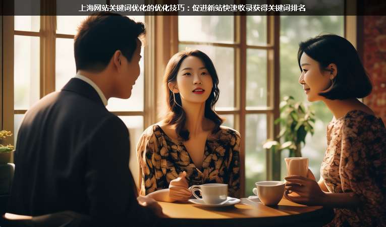 上海網站關鍵詞優(yōu)化的優(yōu)化技巧:促進新站快速收錄獲得關鍵詞排名