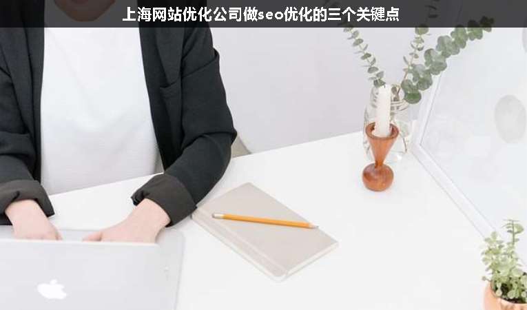 上海網(wǎng)站優(yōu)化公司做seo優(yōu)化的三個關(guān)鍵點(diǎn)