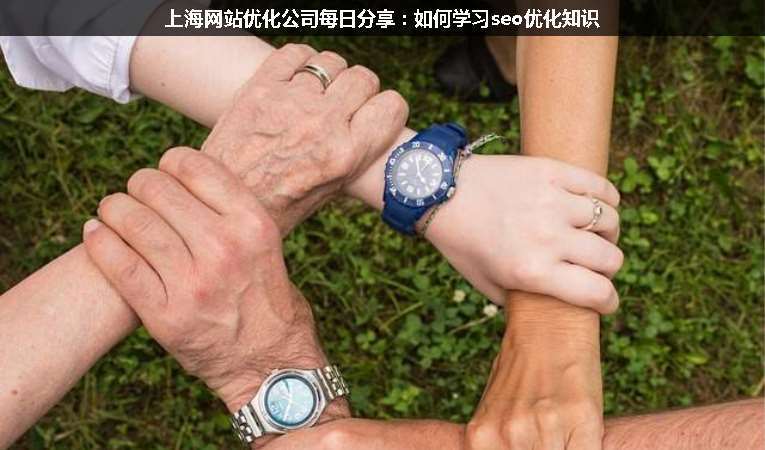 上海網站優(yōu)化公司每日分享:如何學習seo優(yōu)化知識